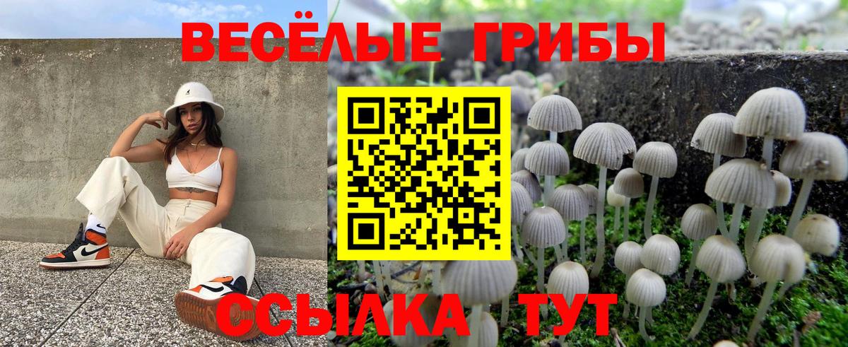 наркотики  Вход с VPN  Озёрск  Псилоцибиновые грибы Magic Shrooms  Псилоцибиновые грибы GOLDEN TEACHER 
