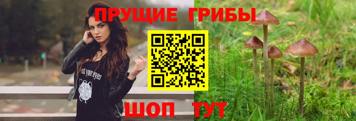 Галлюциногенные грибы прущие грибы Озёрск